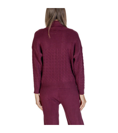 Clerè Knitwear SLI4ML008923D Bordeaux