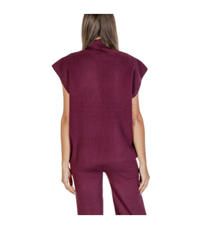 Clerè Knitwear SLI4GL025170D Purple